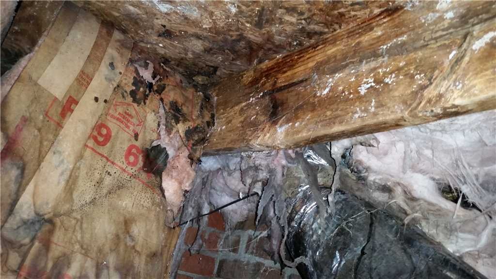 Inspecting Your Crawl Space